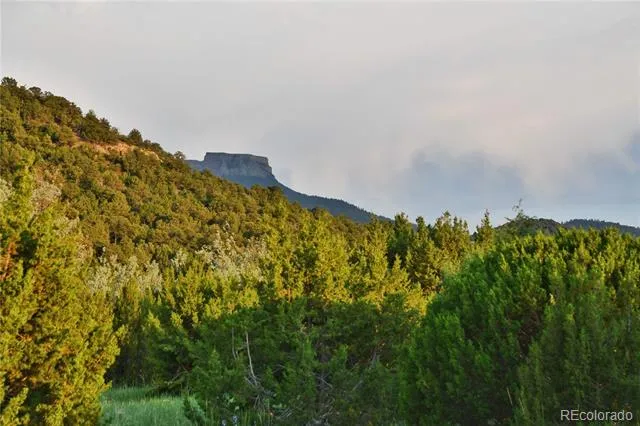 406 Riata Drive Trinidad, CO 81082