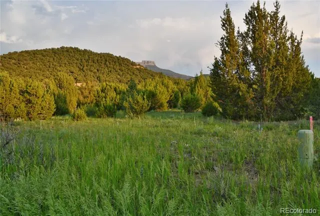 406 Riata Drive Trinidad, CO 81082