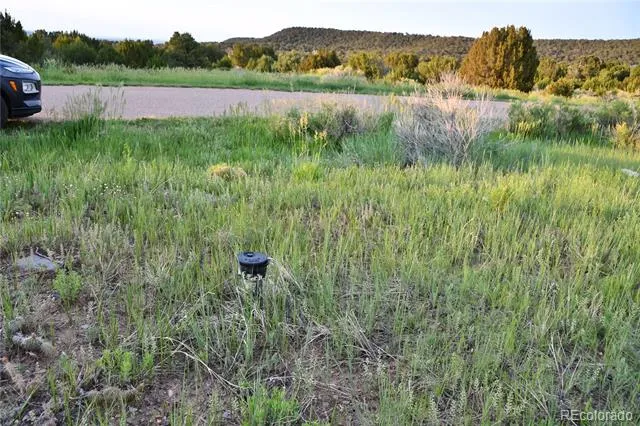 406 Riata Drive Trinidad, CO 81082