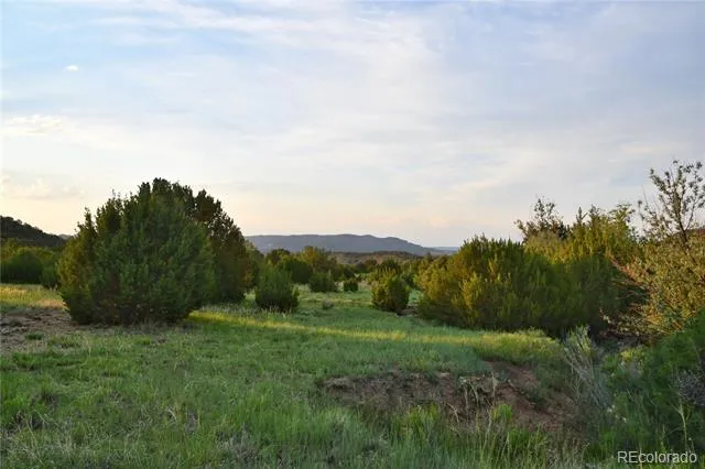 406 Riata Drive Trinidad, CO 81082