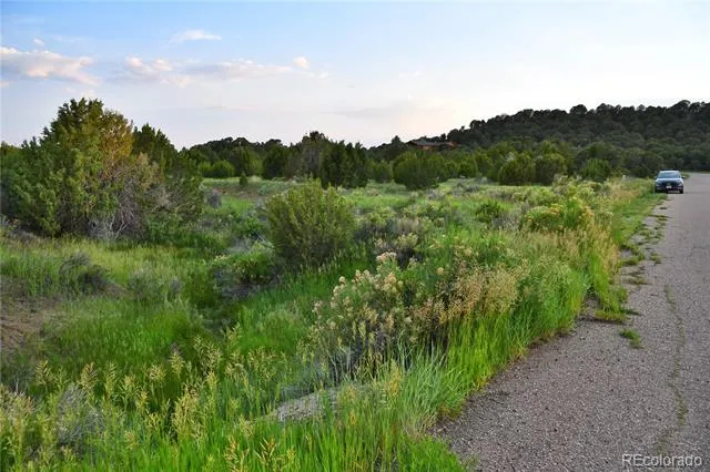 406 Riata Drive Trinidad, CO 81082