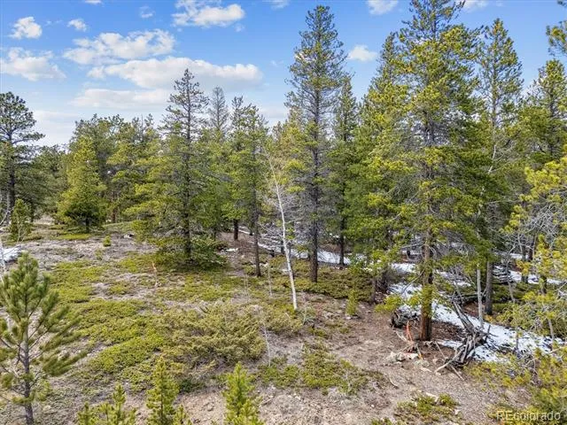 Rock Lake Road Ward, CO 80481