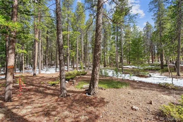 Rock Lake Road Ward, CO 80481