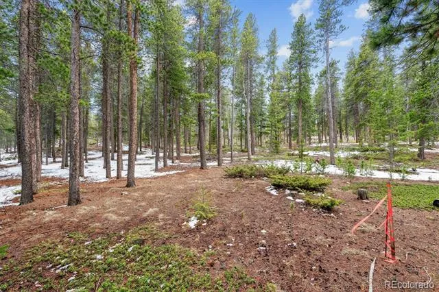 Rock Lake Road Ward, CO 80481