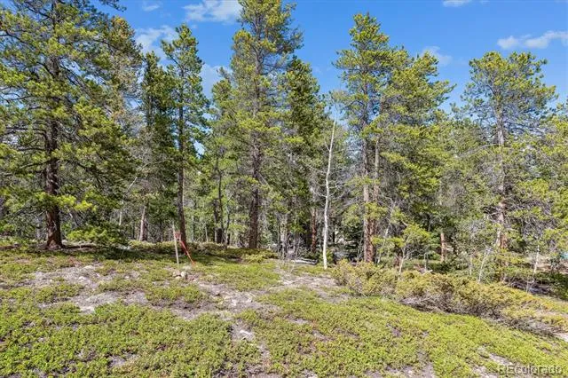 Rock Lake Road Ward, CO 80481