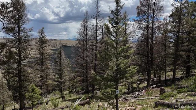 1396 Middle Fork Vista Fairplay, CO 80440