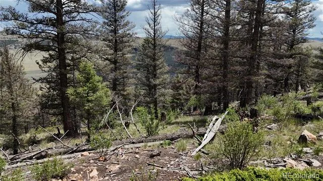 1396 Middle Fork Vista Fairplay, CO 80440