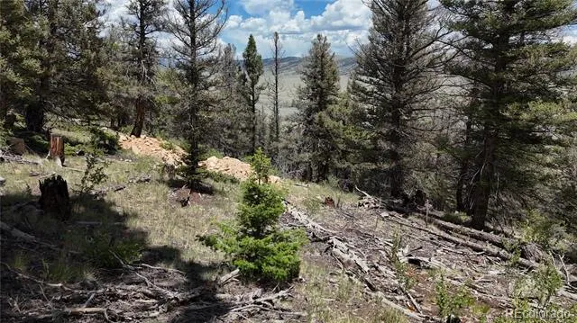 1396 Middle Fork Vista Fairplay, CO 80440