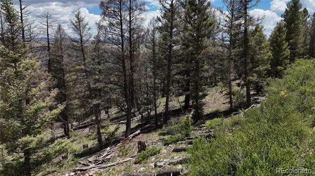 1396 Middle Fork Vista Fairplay, CO 80440