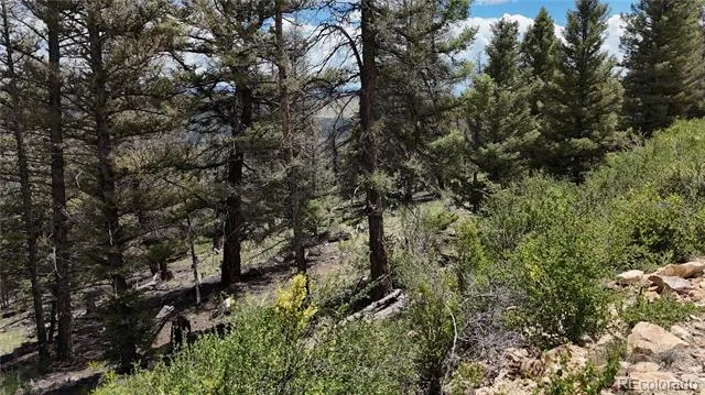 1396 Middle Fork Vista Fairplay, CO 80440