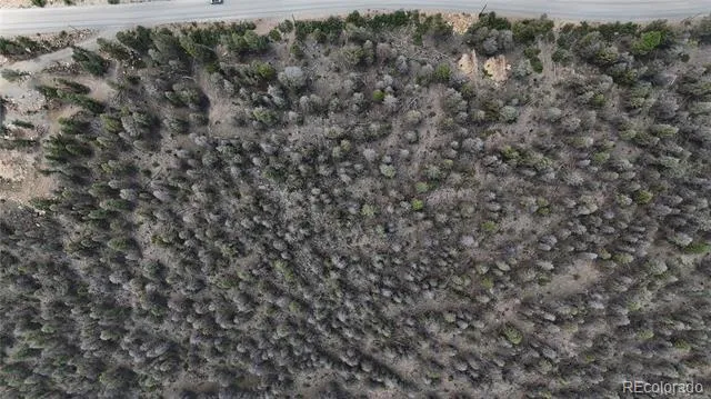 1396 Middle Fork Vista Fairplay, CO 80440