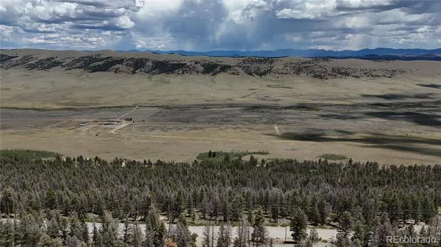 1396 Middle Fork Vista Fairplay, CO 80440