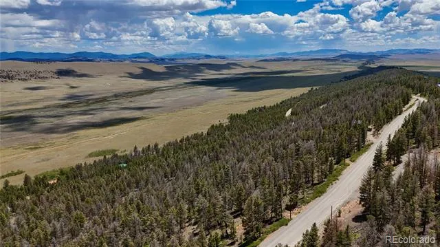 1396 Middle Fork Vista Fairplay, CO 80440