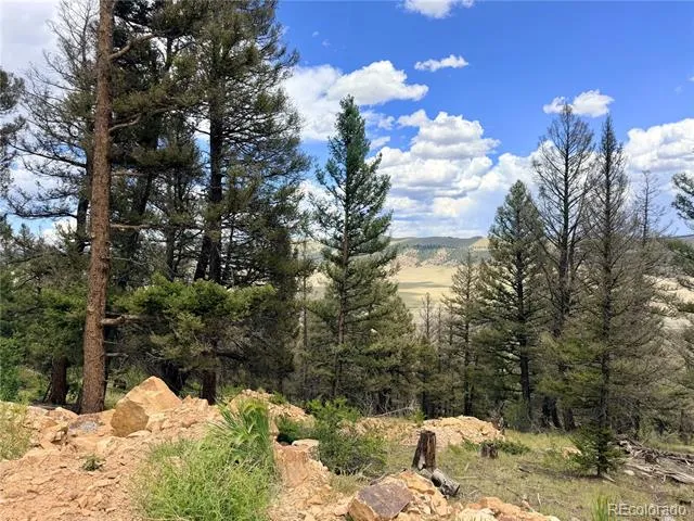 1396 Middle Fork Vista Fairplay, CO 80440
