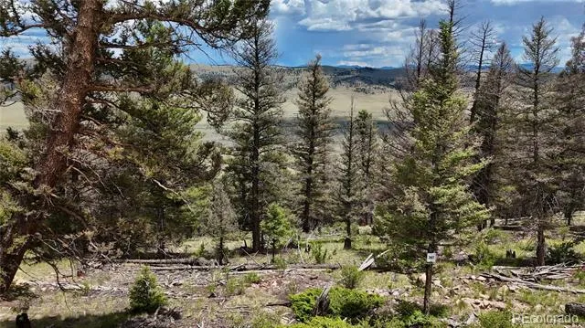 1396 Middle Fork Vista Fairplay, CO 80440