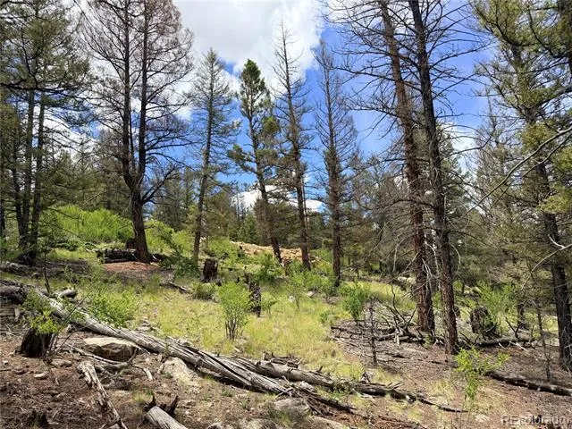 1396 Middle Fork Vista Fairplay, CO 80440
