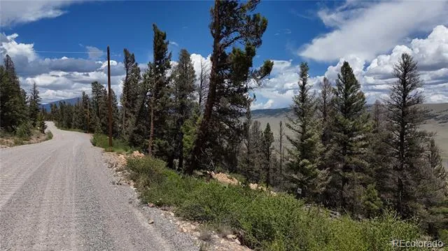 1396 Middle Fork Vista Fairplay, CO 80440