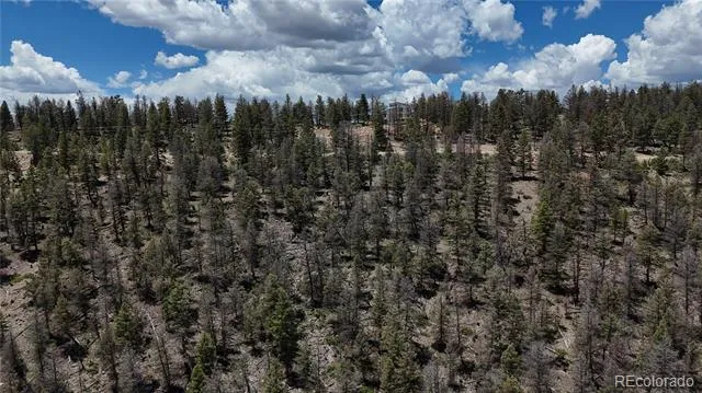 1396 Middle Fork Vista Fairplay, CO 80440