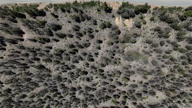 1396 Middle Fork Vista Fairplay, CO 80440