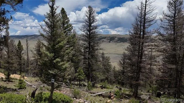 1396 Middle Fork Vista Fairplay, CO 80440