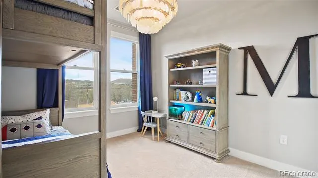 20 Wilcox Street #302 Castle Rock, CO 80104