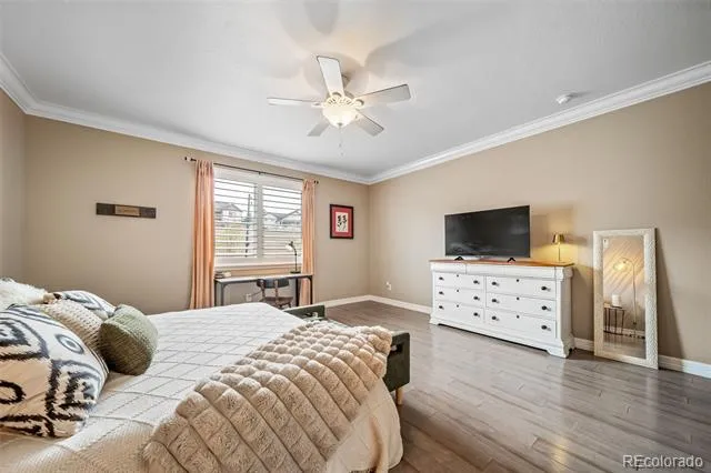 6393 Agave Avenue Castle Rock, CO 80108