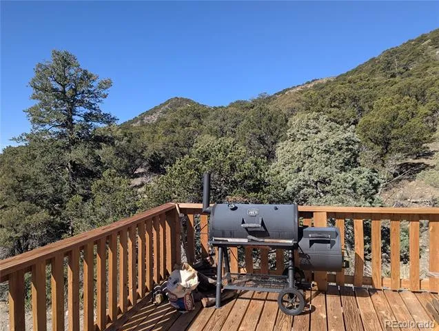 4585 Laidlaw Road Fort Garland, CO 81133