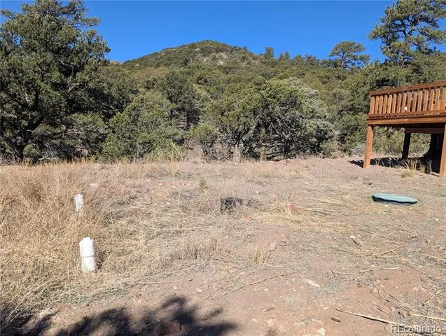 4585 Laidlaw Road Fort Garland, CO 81133