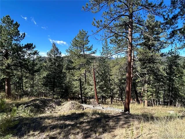 0 Pine Road Evergreen, CO 80439
