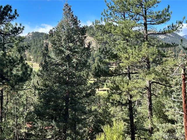0 Pine Road Evergreen, CO 80439