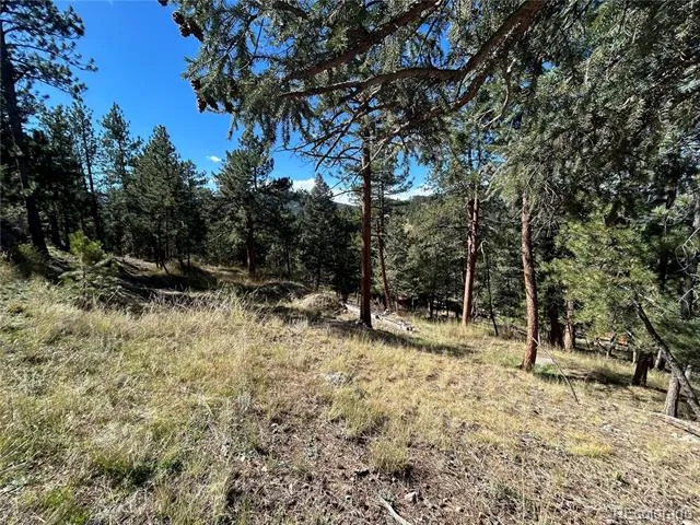 0 Pine Road Evergreen, CO 80439