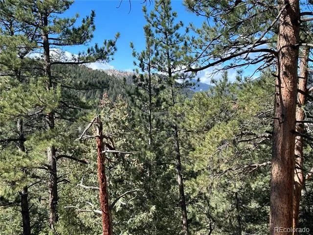 0 Pine Road Evergreen, CO 80439