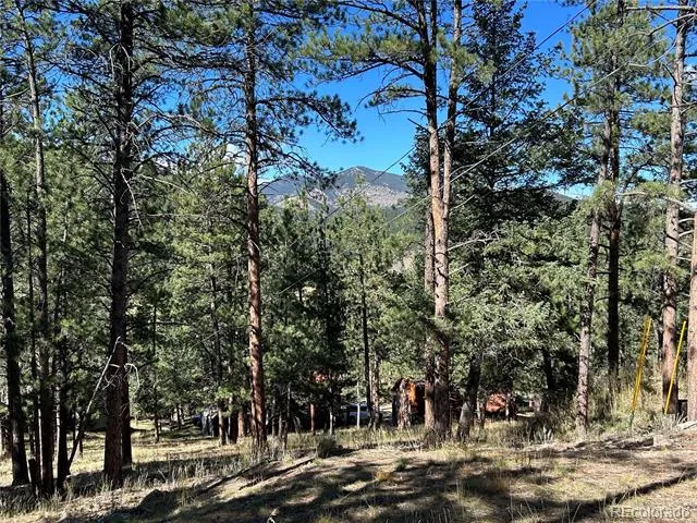 0 Pine Road Evergreen, CO 80439