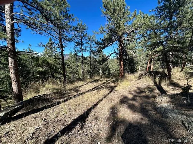 0 Pine Road Evergreen, CO 80439