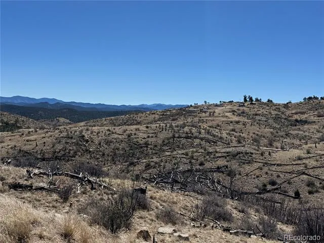 184 Carpenter Trail Cotopaxi, CO 81223