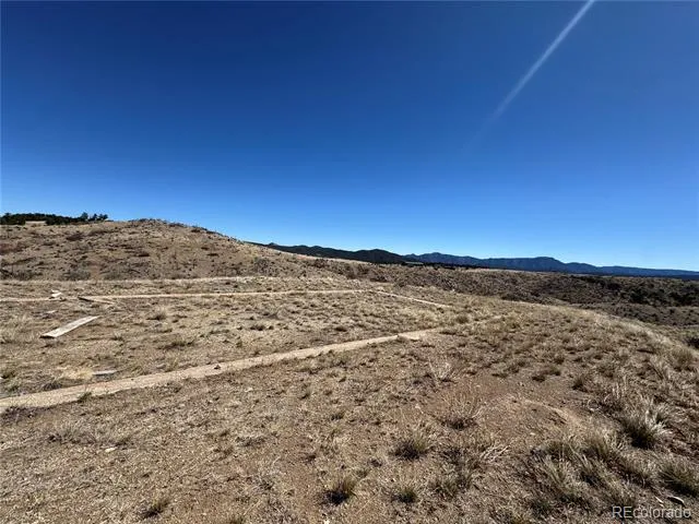 184 Carpenter Trail Cotopaxi, CO 81223