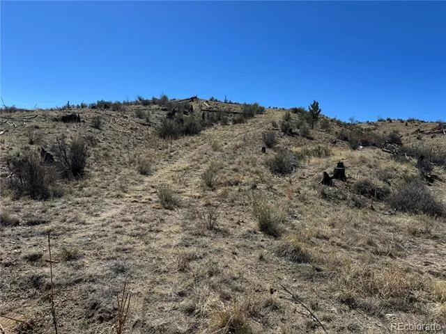 184 Carpenter Trail Cotopaxi, CO 81223