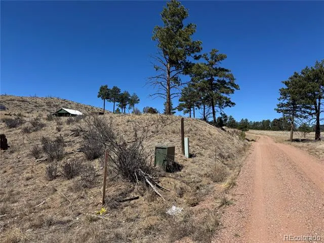 184 Carpenter Trail Cotopaxi, CO 81223