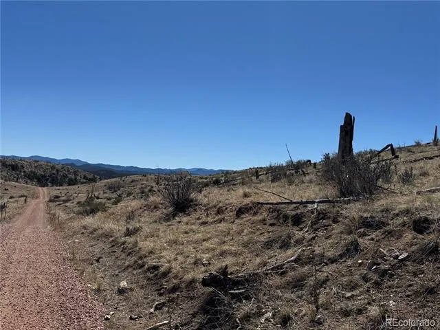 184 Carpenter Trail Cotopaxi, CO 81223