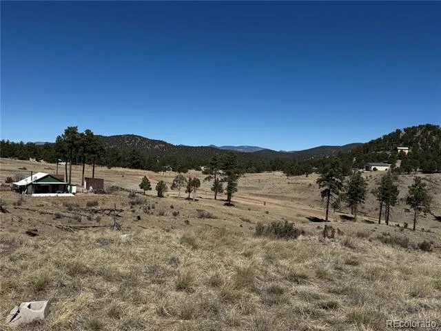 184 Carpenter Trail Cotopaxi, CO 81223