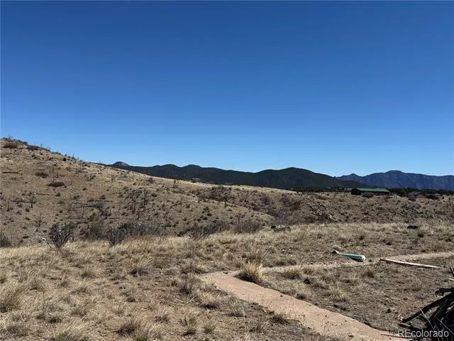 184 Carpenter Trail Cotopaxi, CO 81223