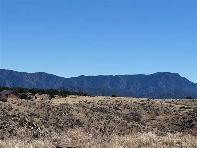 184 Carpenter Trail Cotopaxi, CO 81223