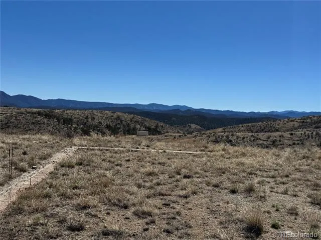 184 Carpenter Trail Cotopaxi, CO 81223