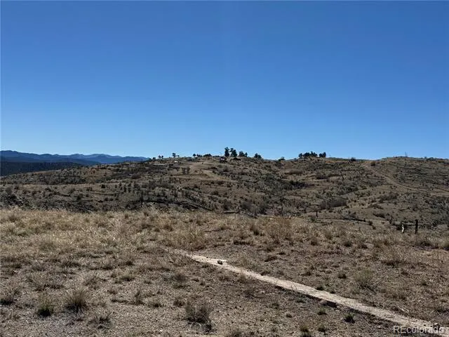 184 Carpenter Trail Cotopaxi, CO 81223