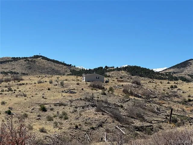 184 Carpenter Trail Cotopaxi, CO 81223