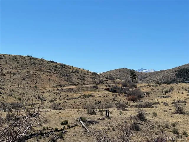 184 Carpenter Trail Cotopaxi, CO 81223
