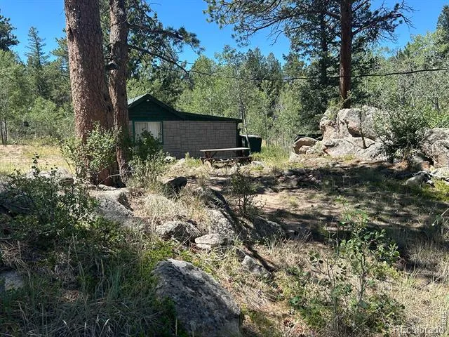 745 Nokomis Road Red Feather Lakes, CO 80545