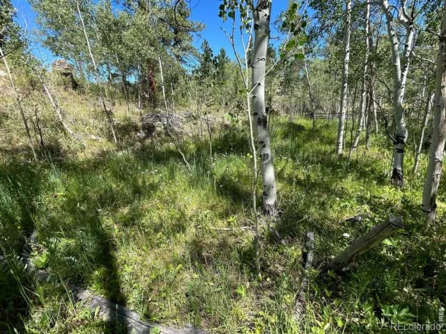 745 Nokomis Road Red Feather Lakes, CO 80545
