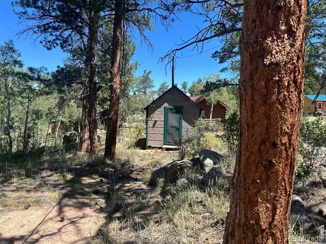 745 Nokomis Road Red Feather Lakes, CO 80545