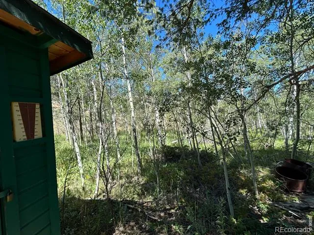745 Nokomis Road Red Feather Lakes, CO 80545